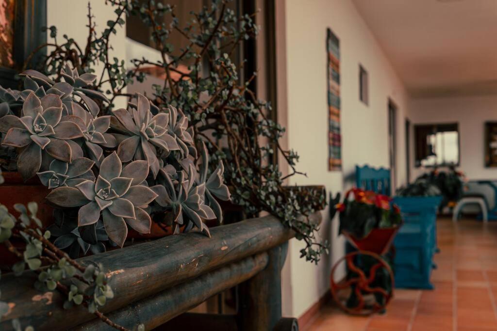Turistica Danubio Rural Risaralda