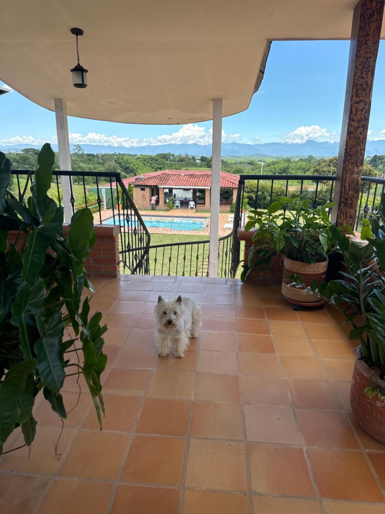 Villa Turistica Danubio Rural Risaralda